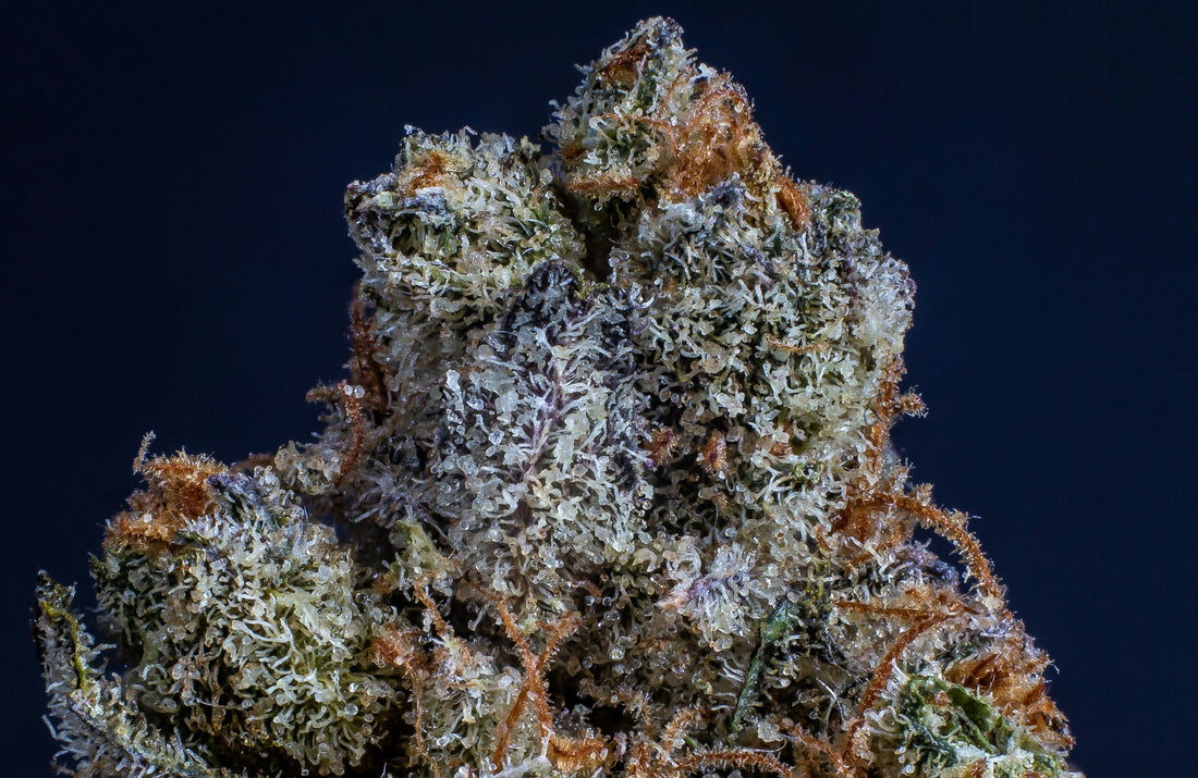 Welcome to BlazeHaus: The Future of Cannabis in Charlotte