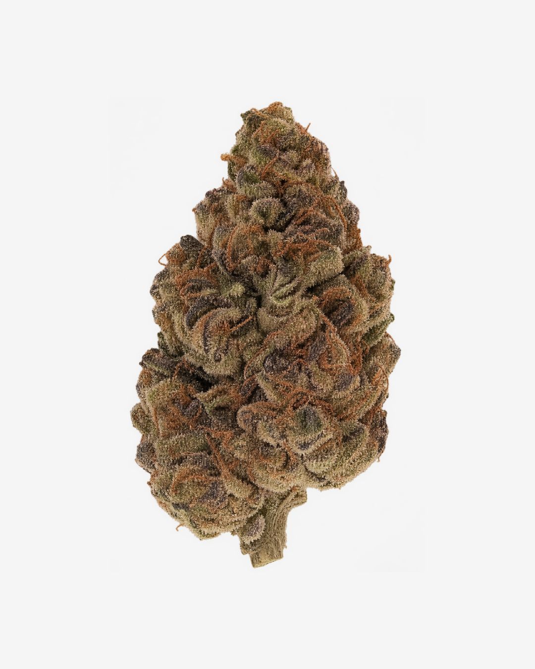 Haus Indoor THCa Flower – Orange Push Pop – Indica