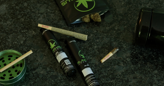 New Places, New Strains 🔥 – The Next Chapter at BlazeHaus