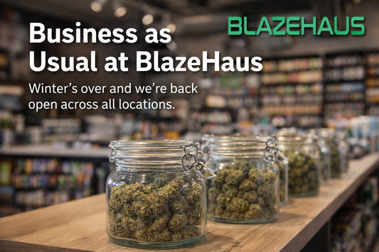 BlazeHaus dispensary interior featuring flower jars on the counter with a well-lit product wall in the background, representing business as usual after winter weather.