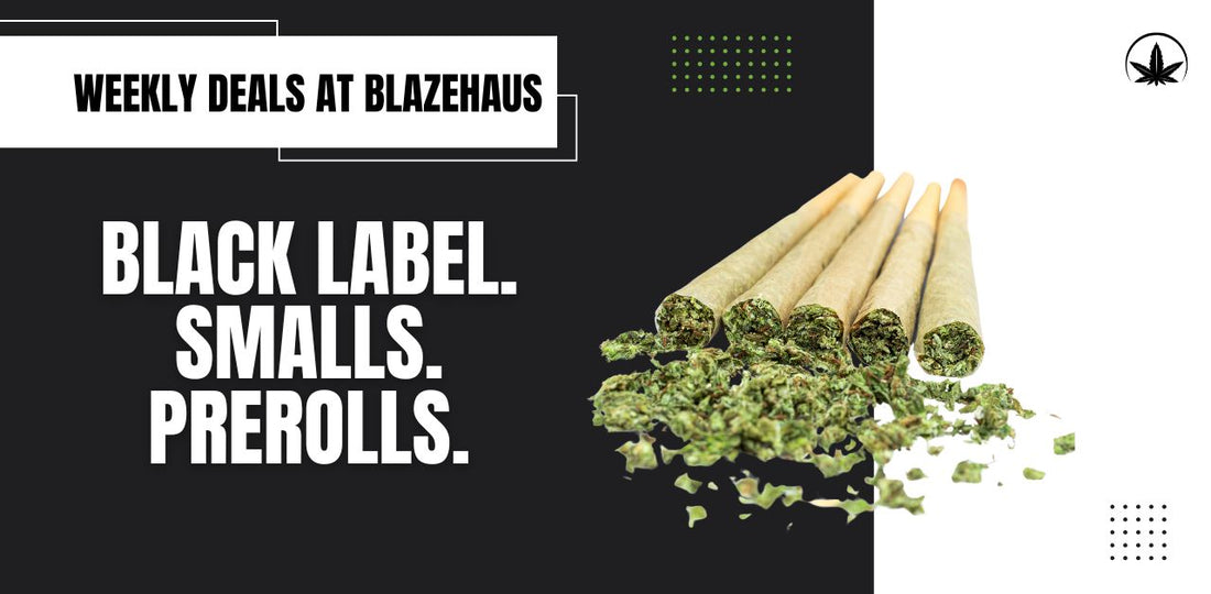 This Week at BlazeHaus – Deals Through Sunday