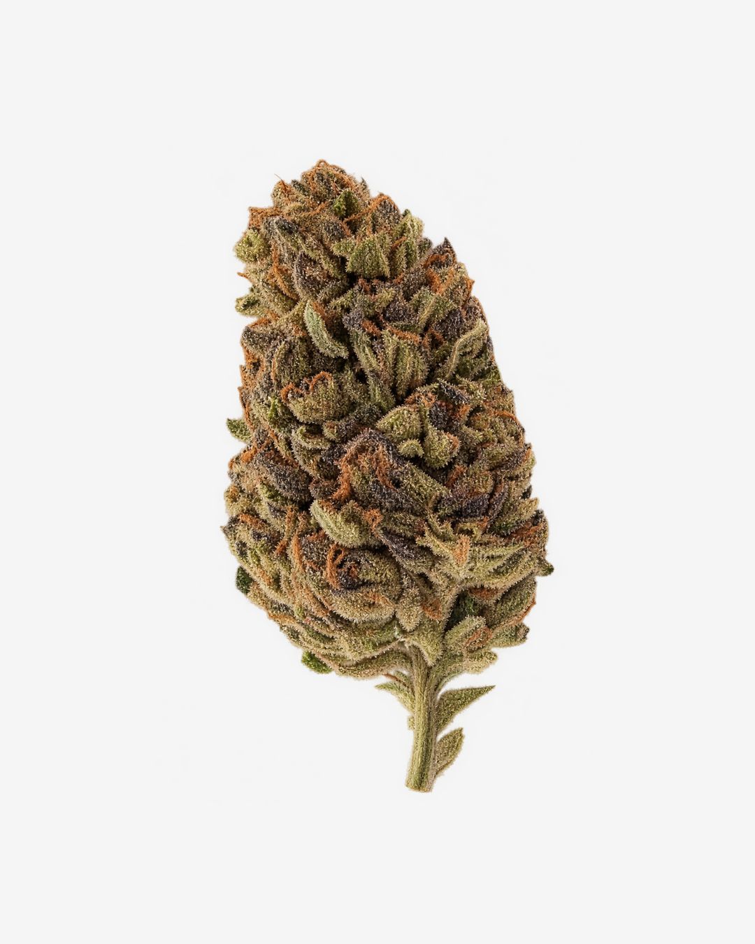GreenHaus THCa Flower – Birthday Cake – Indica