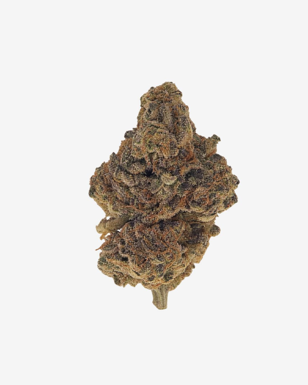 Haus Indoor THCa Flower – King Louie – Indica