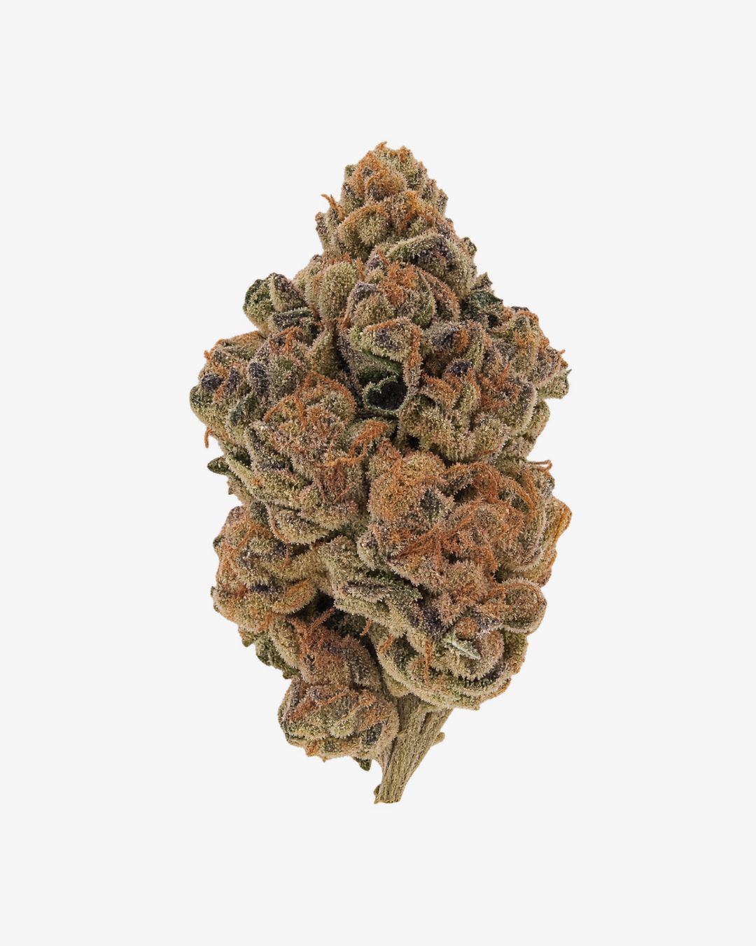 Haus Indoor THCa Flower – Raspberry Gas – Hybrid