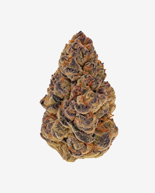 Haus Indoor THCa Flower – Tangerine Dream – Sativa